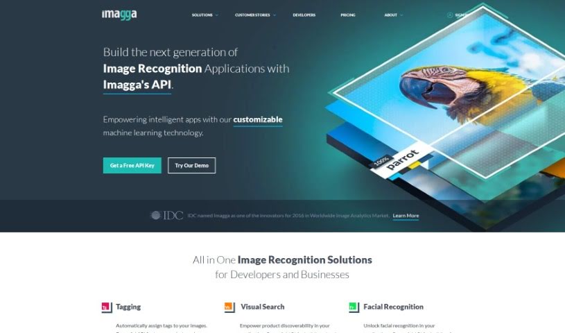 Screenshot of Imagga