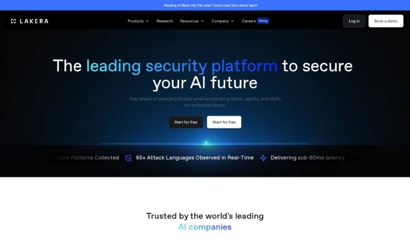 Screenshot of Lakera AI